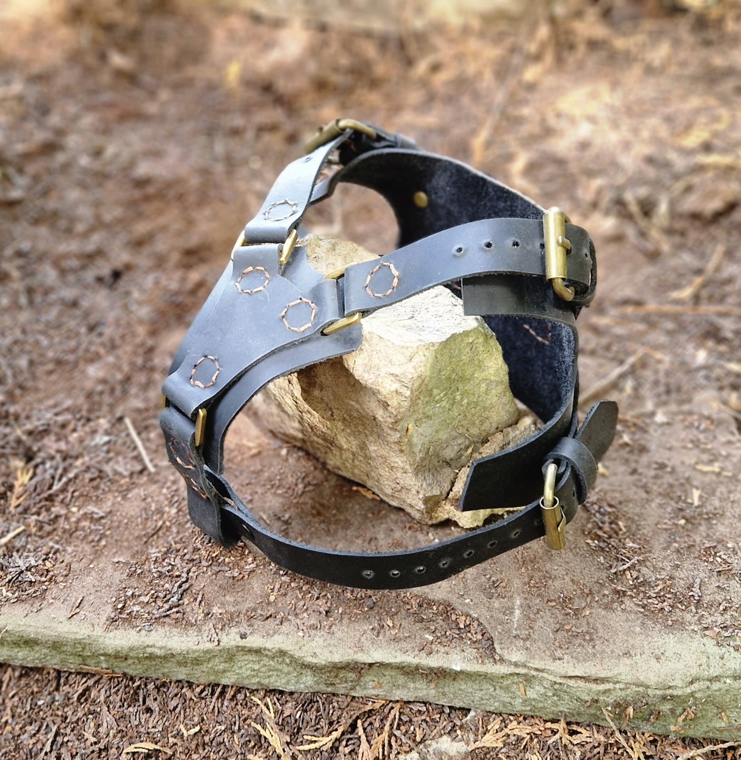 Dog harness