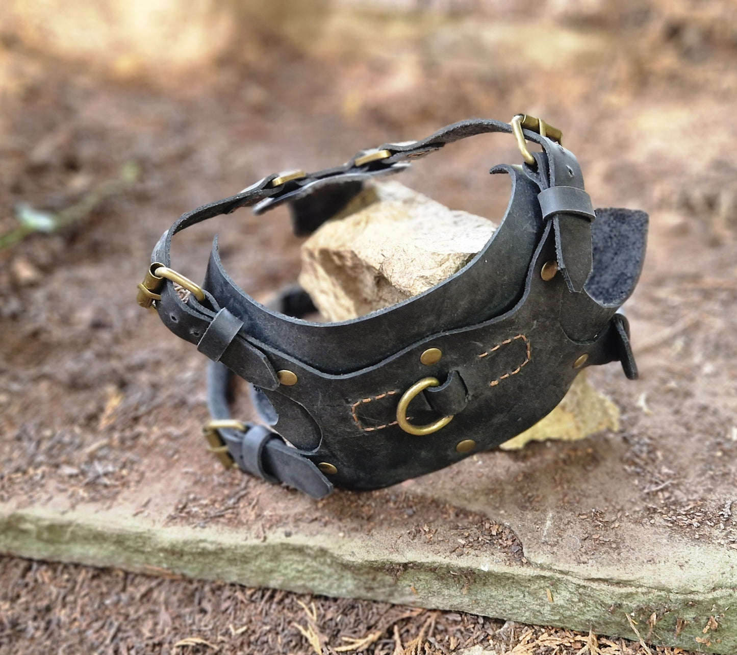 Dog harness